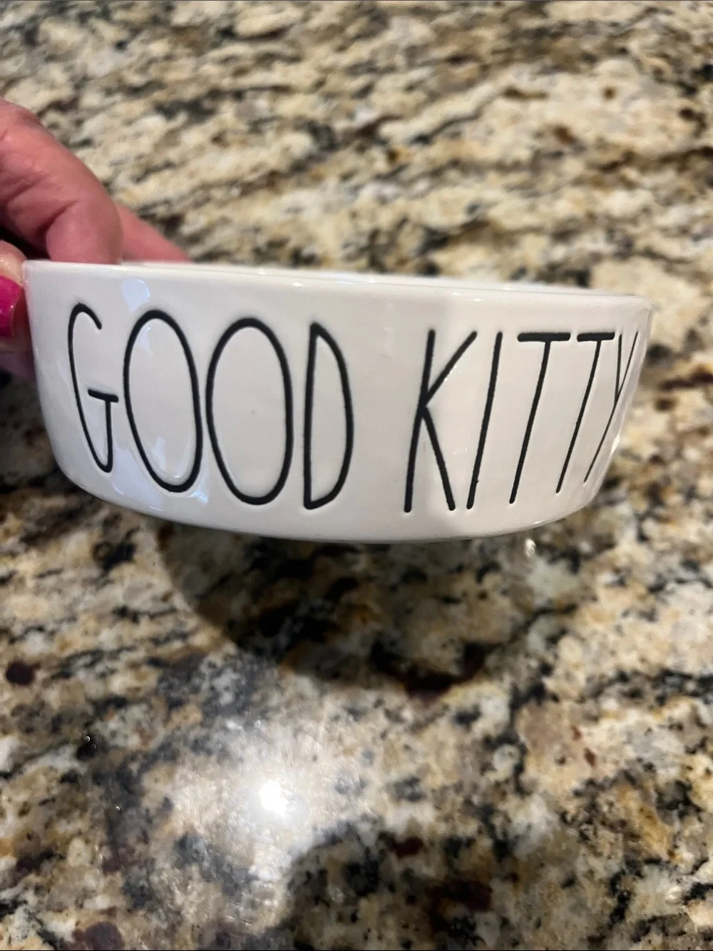 NWOT Rae Dunn GOOD KITTY food Bowl